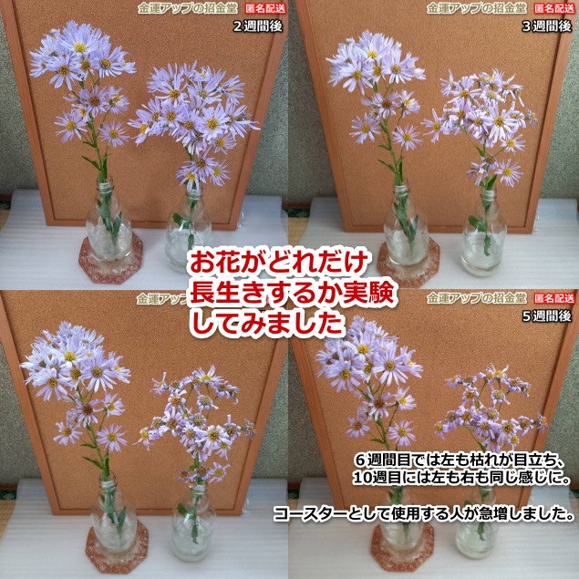 Ԃ̎